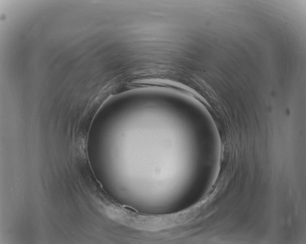 X0000074960045200609081452