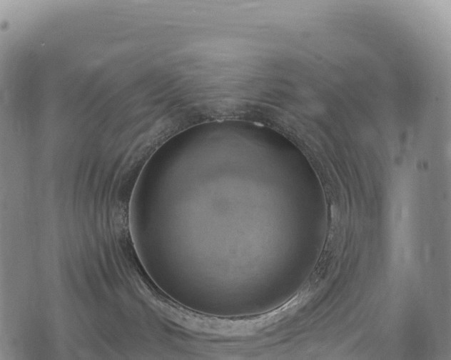 X0000074960048200609081452