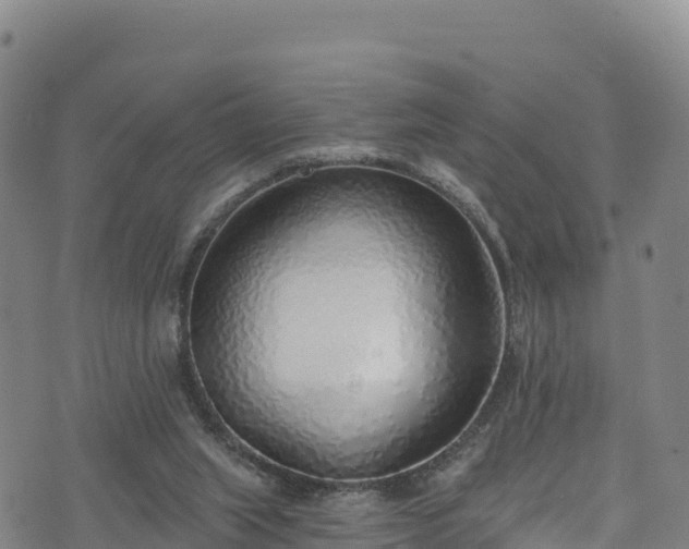 X0000074960063200609081451