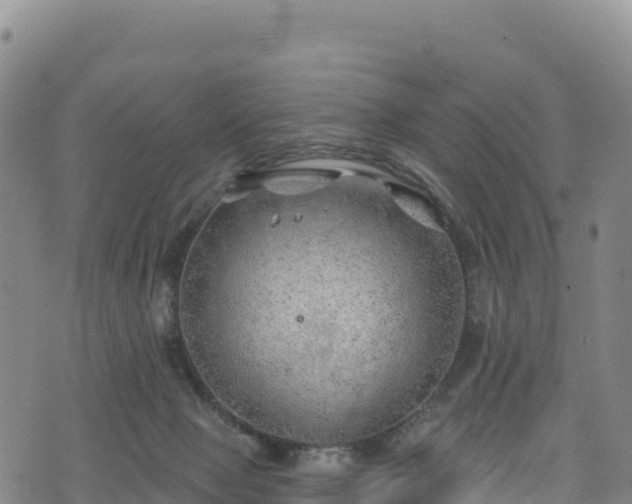 X0000074960077200609081452