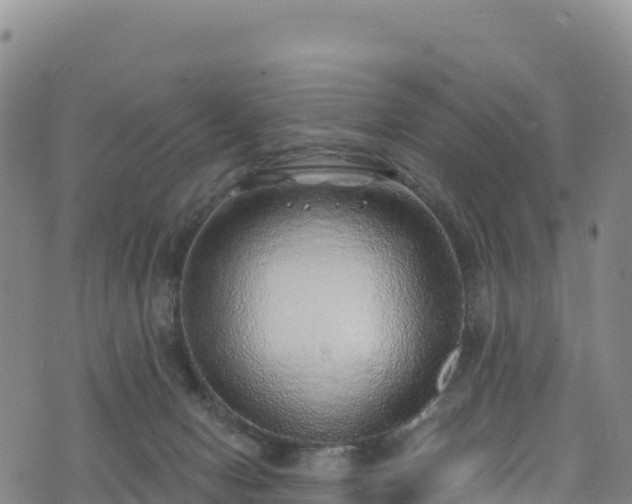 X0000074960078200609081452