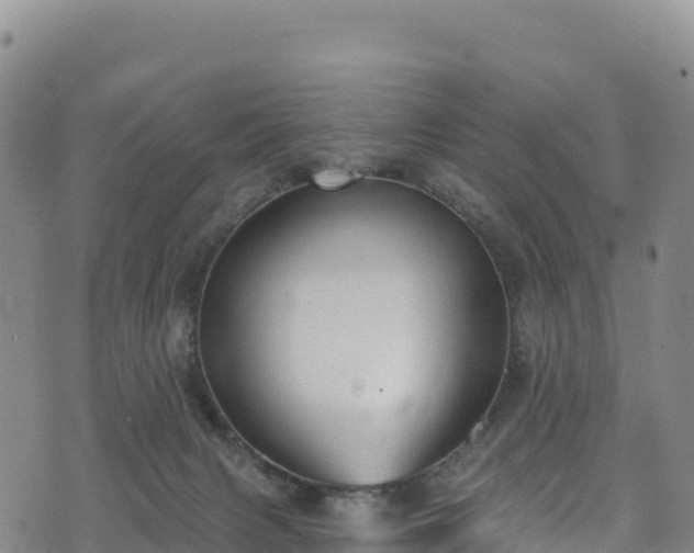 X0000074960079200609081452