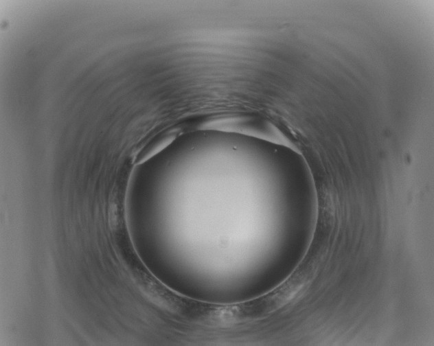 X0000074960080200609081452