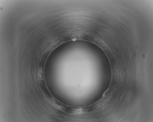 X0000074960083200609081452