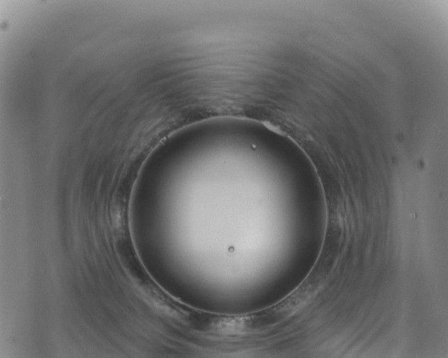 X0000074960084200609081452