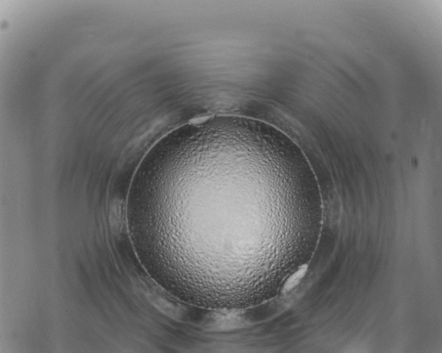 X0000074960093200609081452