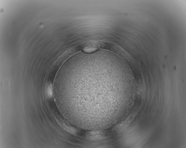 X0000074960095200609081452