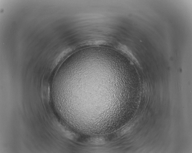 X0000074960110200609081451