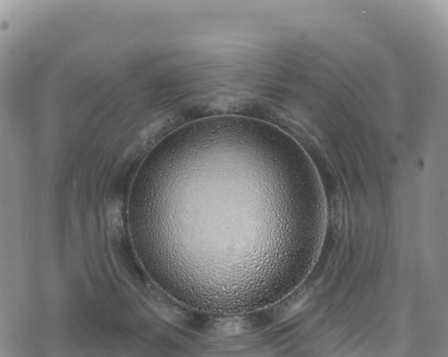X0000074960127200609081451