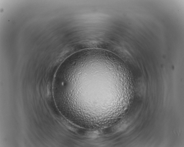 X0000074960131200609081451