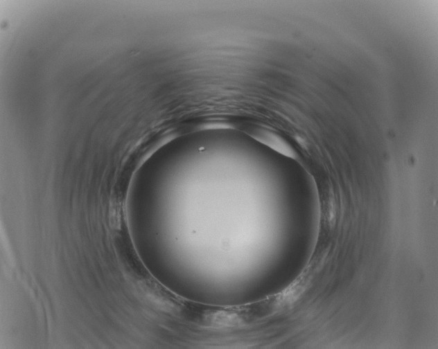 X0000074960180200609081450