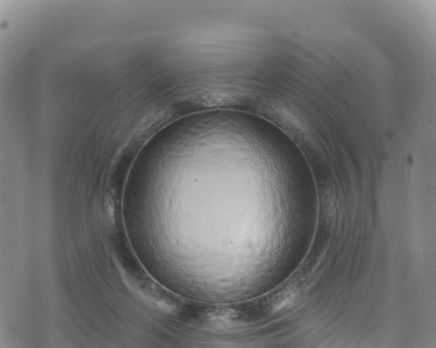 X0000074960214200609081449