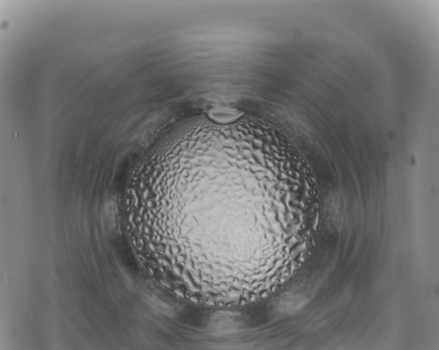 X0000074960222200609081449