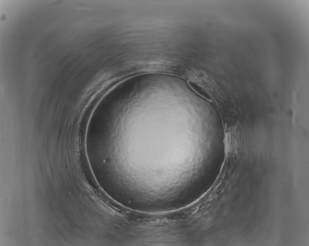 X0000074960243200609081448