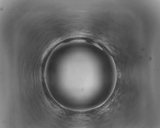 X0000074960244200609081448