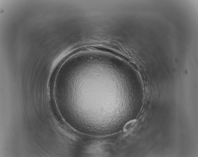X0000074960246200609081448