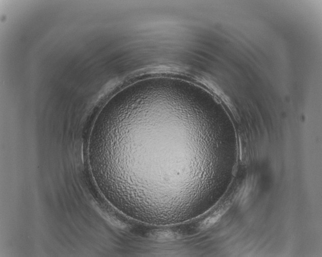 X0000074960253200609081448