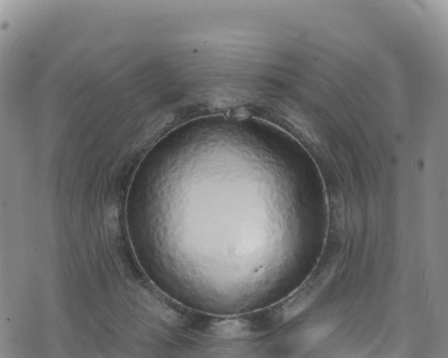 X0000074960269200609081448