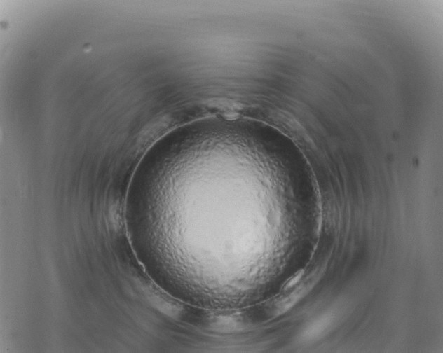 X0000074960285200609081449