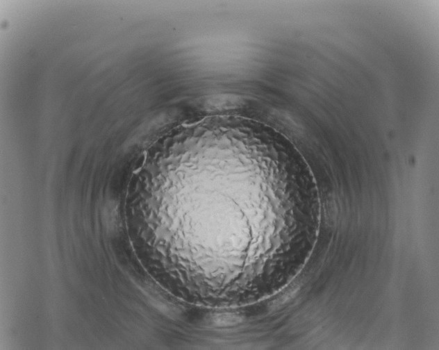 X0000074960327200609081447