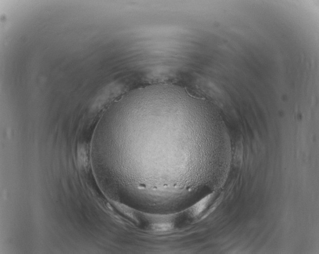 X0000074960335200609081447