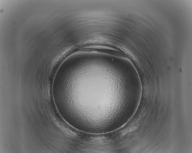 X0000074960446200609081445