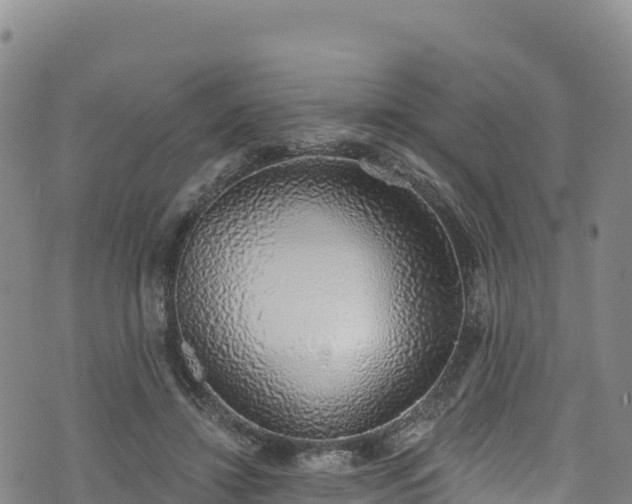 X0000074960452200609081445