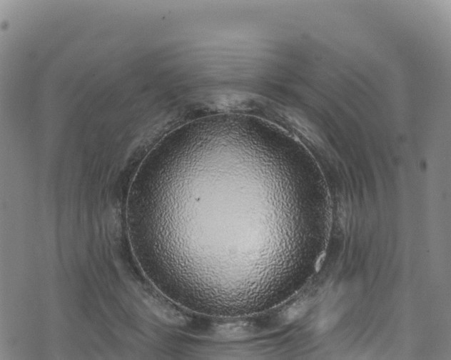 X0000074960461200609081445