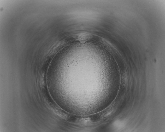 X0000074960554200609081444