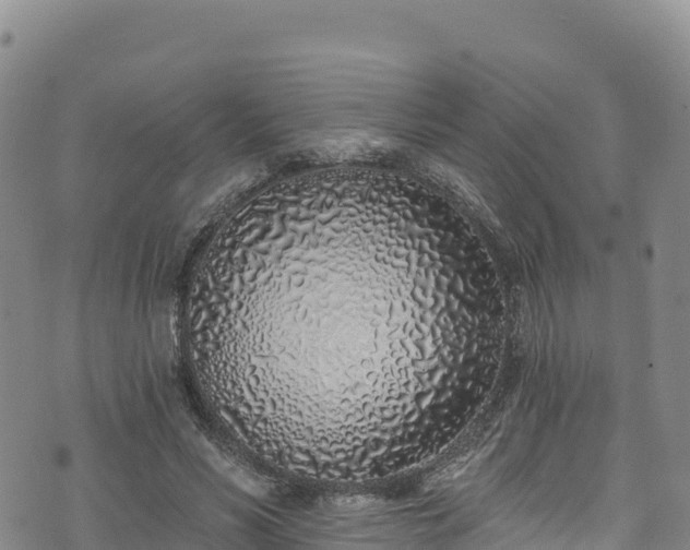 X0000074960590200609081443