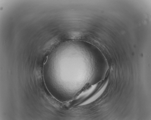 X0000074960620200609081443