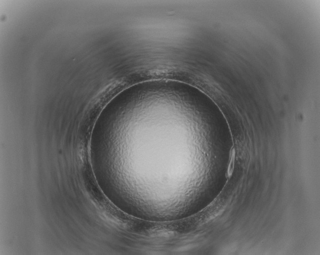 X0000074960648200609081442