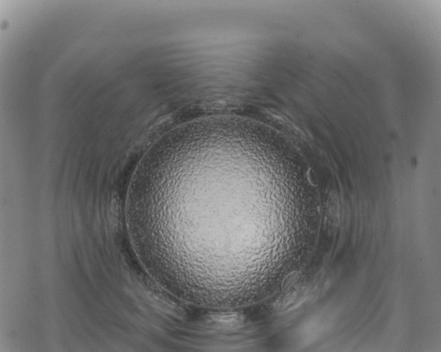 X0000074960659200609081442