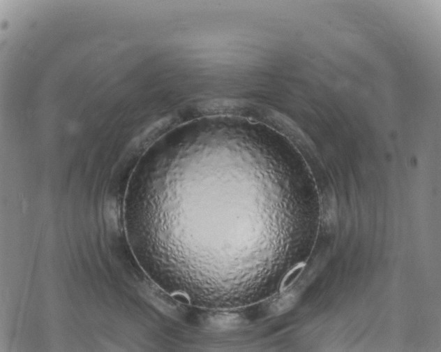 X0000074960669200609081442