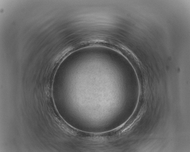 X0000074960785200609081440
