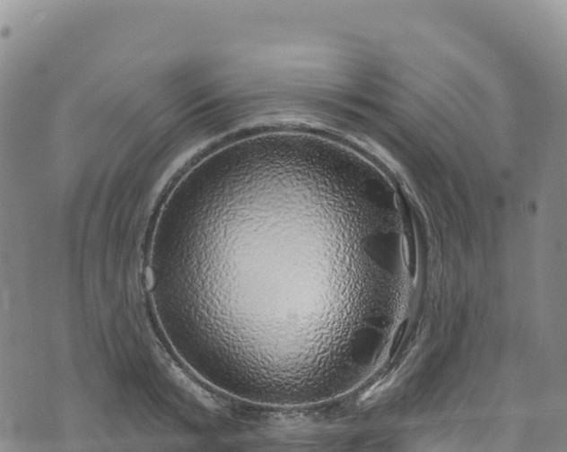 X0000074960799200609081440
