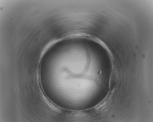 X0000074960811200609081440