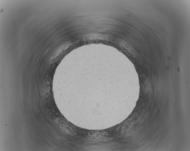 X0000074960824200609081439