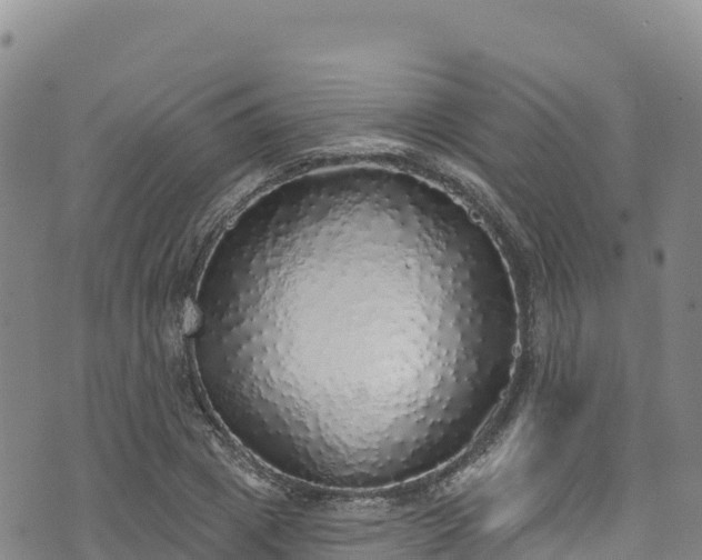 X0000074960833200609081439
