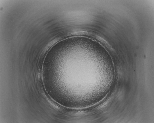 X0000074960841200609081439