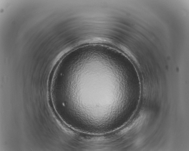X0000074960845200609081439
