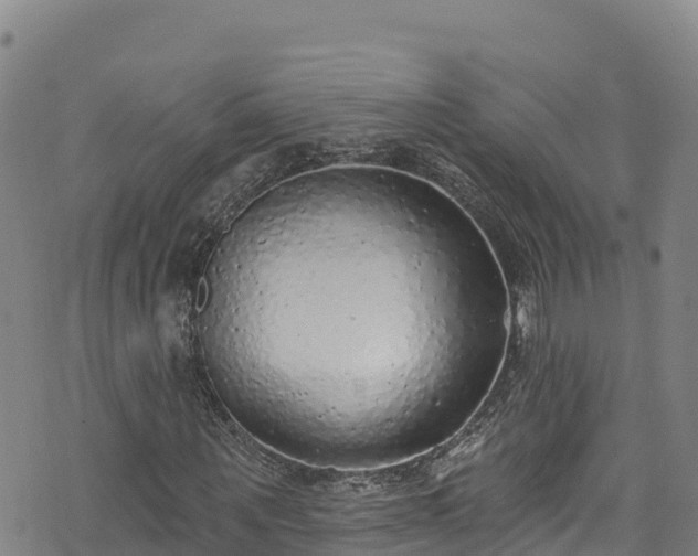 X0000074960867200609081439