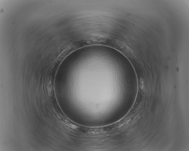 X0000074960915200609081437