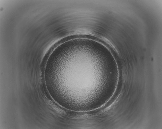 X0000074960926200609081437