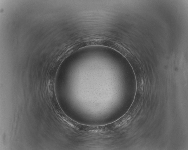 X0000074961010200609081435