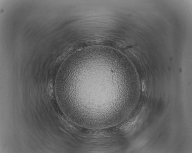 X0000074961011200609081435