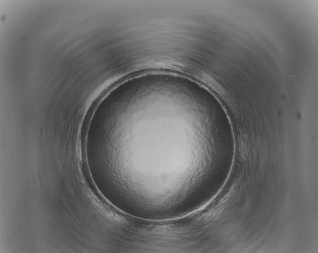 X0000074961028200609081436