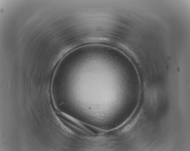 X0000074961033200609081436