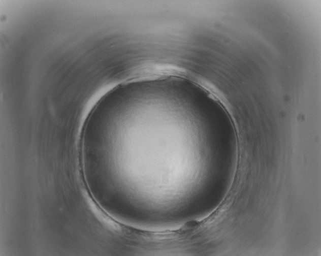 X0000074961152200609081435