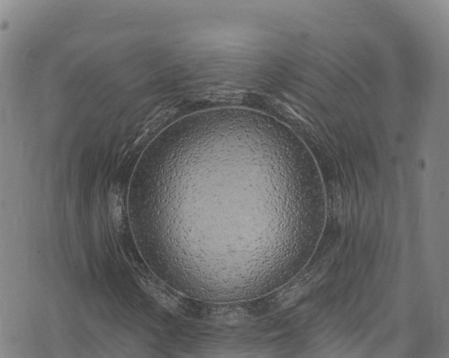 X0000074961154200609081434